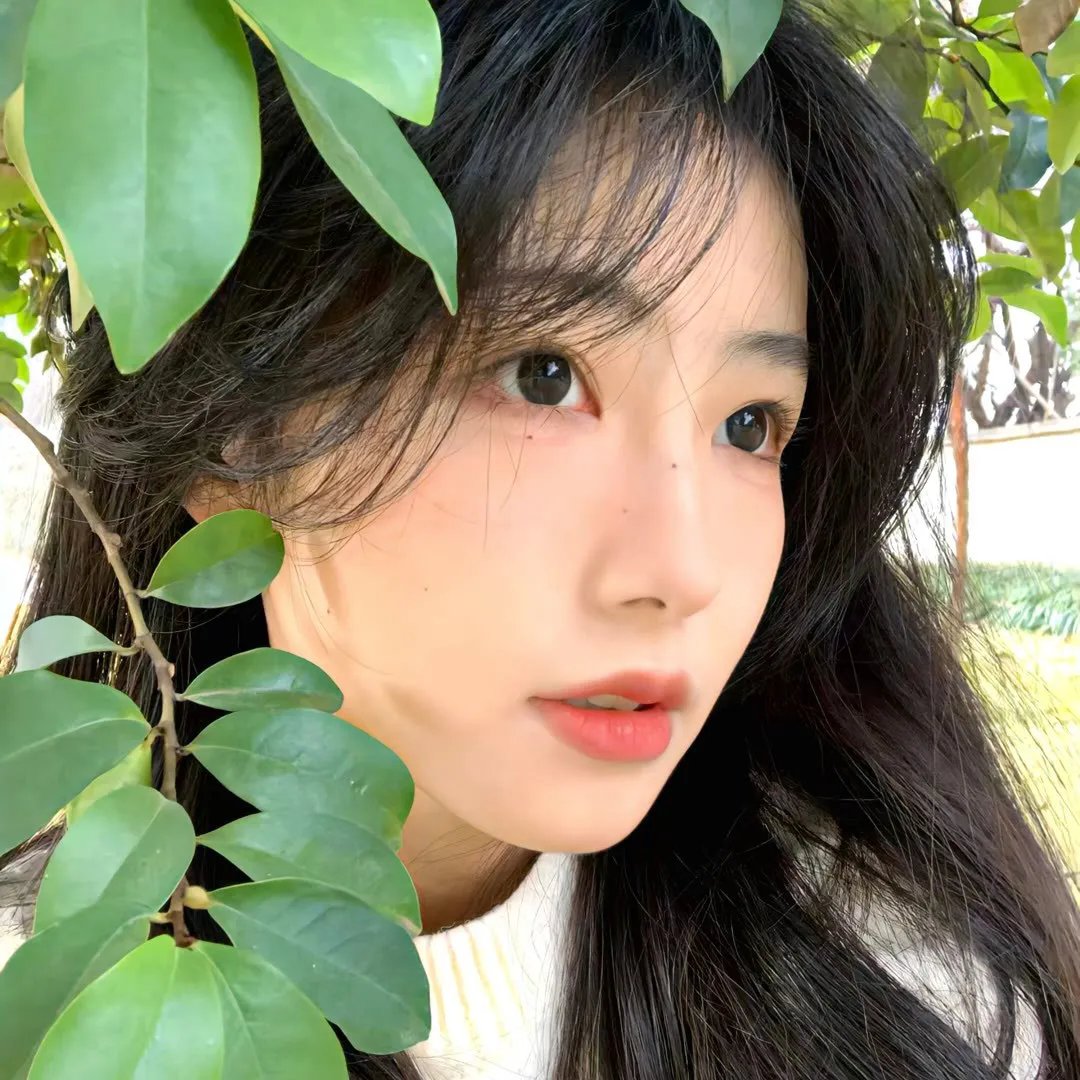 盛夏光年